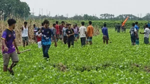 আবারও বিএসএফের পুশইন ঠেকাল বিজিবি ও গ্রামবাসী