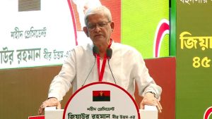 কয়েকটা দল সংস্কার-সংস্কার বলে, সংস্কারের জন্ম দিয়েছিলেন জিয়া: মির্জা ফখরুল