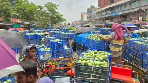 নওগাঁর আম যাচ্ছে যুক্তরাষ্ট্রে | Barta Bazar