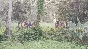 পুশ ইনে ব্যর্থ হয়ে সেই ২৮ জনকে সরিয়ে নিতে বাধ্য হলো বিএসএফ