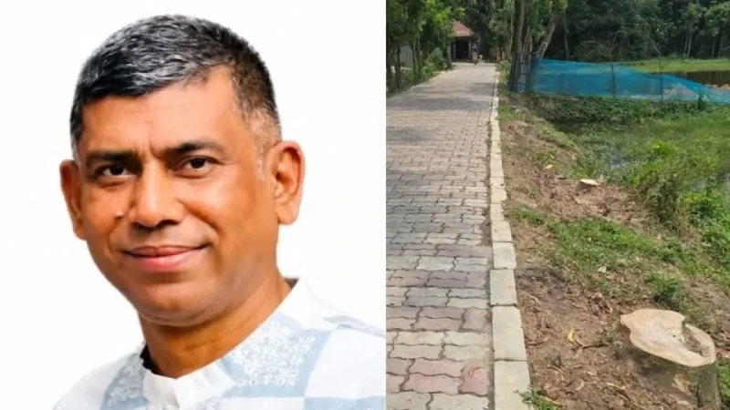 সরকারি গাছ কেটে বিক্রি করলেন বিএনপি নেতা