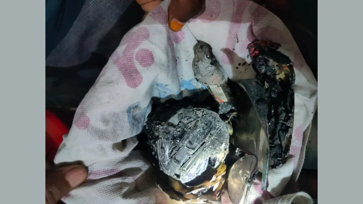 বিএনপির দলীয় কার্যালয়ে ককটেল বিস্ফোরণ