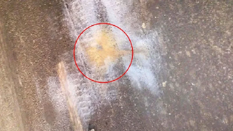 রাজধানীর টেকনিক্যাল মোড়ে অতর্কিতভাবে ‘ককটেল’ বিস্ফোরণ