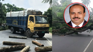 আসলাম চৌধুরীর প্রার্থিতা বাতিলের খবরে গাছ ফেলে মহাসড়ক অবরোধ