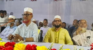 মন্ত্রীরা সংসদে মিথ্যা কথা বলে: এটিএম আজহার