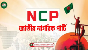 নিজ দলের যুগ্ম সদস্য সচিবের বিরুদ্ধে মানহানি মামলা করলেন এনসিপি নেত্রী