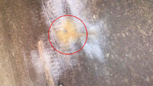 রাজধানীর টেকনিক্যাল মোড়ে অতর্কিতভাবে ‘ককটেল’ বিস্ফোরণ