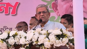 সব দলকে তাদের কর্মকাণ্ড করতে দিতে চাই: মির্জা ফখরুল