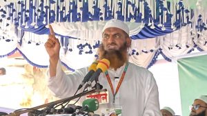 ক্ষমতাসীন দল তাদের এজেন্ডা বাস্তবায়নের চোরাই পথ আবিষ্কার করেছে: মামুনুল হক