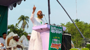 সরকারের কাঁধে হাসিনা ও আওয়ামী লীগের ভূত সওয়ার হয়েছে: মামুনুল হক