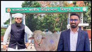 চিড়িয়াখানায় আমি থাকব বাঘের পাশে, রাশেদ খাঁনকে রাখব ‘ডোনাল্ড ট্রাম্পের’ পাশে: হানজালা