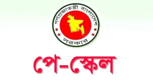 নিম্ন ও মধ্যম পর্যায়ের সরকারি কর্মকর্তা-কর্মচারীদের জন্য সুখবর, যে সুপারিশ করা হয়েছে