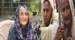 যা করলে মিলবে বয়স্ক-বিধবা-প্রতিবন্ধী ভাতা, যেভাবে আবেদন
