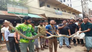 চবিতে ১৫ ফুট লম্বা অজগর সাপ উদ্ধার