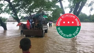 বন্যার্তদের পাশে দাঁড়াতে নেতাকর্মীদের জরুরি নির্দেশনা দিল ছাত্রদল