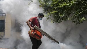 ধোঁয়ায় মরে না মশা, ‘লোক দেখাতে’ মাসে ব্যয় সাড়ে ১০ কোটি টাকা