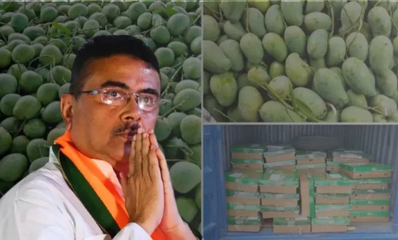 শুভেন্দু অধিকারীর কাছে ৫০০ কেজি আম উপহার পাঠালো বাংলাদেশ