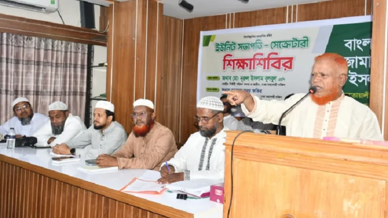 মেটিকুলাস ডিজাইনে জামায়াতের বিজয় কেড়ে নেওয়া হয়েছে: বুলবুল