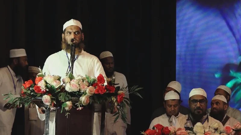 বিএনপি দেশের আমূল কোনো সংস্কারের পক্ষে থাকতে চায় না: মামুনুল হক