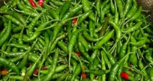 এক লাফে কেজিতে যত কমলো কাঁচামরিচের দাম