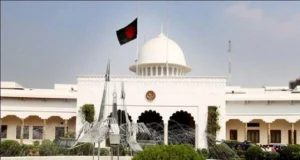এইমাত্র পাওয়া : রাষ্ট্রপতি নির্বাচনে বিএনপির দুই মনোনয়নপত্র সংগ্রহ