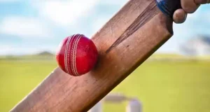 প্রথমবারের মতো দুই ভাই খেলবেন একইসঙ্গে, একই মঞ্চে