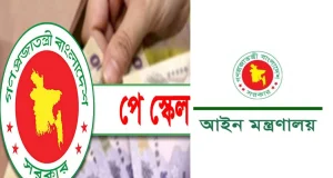 কখন মন্ত্রিসভায় উঠছে পে স্কেল, কখন গেজেট প্রকাশ? এবার যা জানা গেল