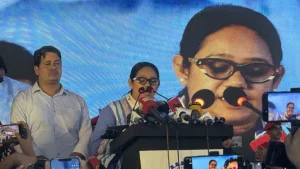 নতুন বাংলাদেশে কোনো স্বৈরাচারের স্থান নেই: তুলি