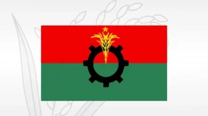 গ্যাস ও বিদ্যুৎ সংকট নিয়ে বিএনপির বার্তা, সাময়িক কষ্টে দেশবাসীর সহযোগিতা কামনা