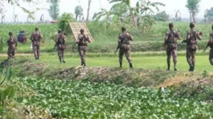 হত্যা করে ভারতে পালিয়ে যাওয়ার পর বিএসএফের হাতে ধরা ২ ভাই