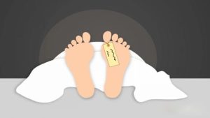সাতক্ষীরায় সাপে কাটার পর কবিরাজের কাছে নেওয়ার চেষ্টা, শিশুর মৃত্যু