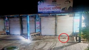 সাতক্ষীরা বিএনপি কার্যালয়ের সামনে দুটি বোমা সদৃশ বস্তু উদ্ধার
