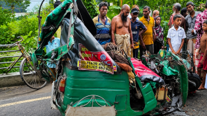 মাছ ধরতে যাওয়ার পথে প্রাণ গেল বৃদ্ধের, সিরাজগঞ্জে নিহত ২