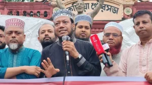 স্বৈরাচার কোনো দিনও ফিরে আসেনি, হাসিনাও আসবে না: আমির হামজা