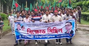 দেশজুড়ে আ’লীগ-ছাত্রলীগের ‘অপতৎপরতার’ বিরুদ্ধে ছাত্রদলের বিক্ষোভ