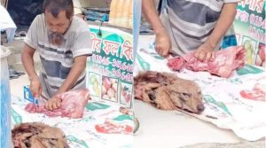 প্রকাশ্যে শিয়ালের মাংস বিক্রি, প্রমাণের জন্য পাশে রেখেছিল কাটা মাথা