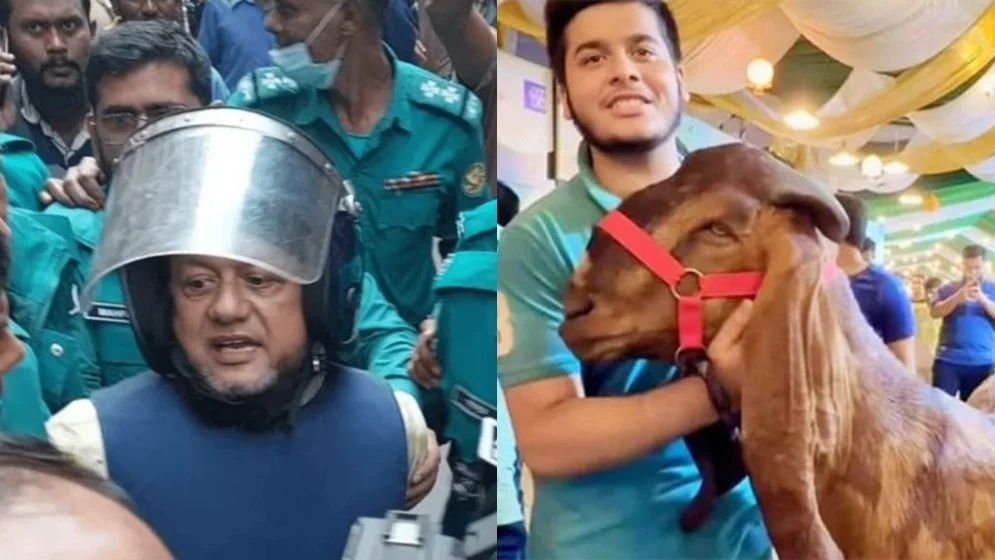 আলোচিত ছাগলকাণ্ডে জড়িত সাবেক এনবিআর সদস্য মতিউরের বিচার শুরু
