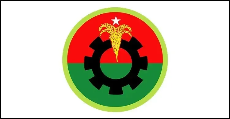 রাষ্ট্রপতি নির্বাচনে ২টি মনোনয়ন ফরম সংগ্রহ করলো বিএনপি