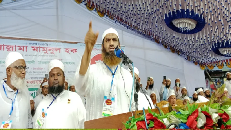 সরকার পতন চাই না, আমরা চাই সরকার যেন ফ্যাসিস্ট হয়ে না ওঠে: মামুনুল