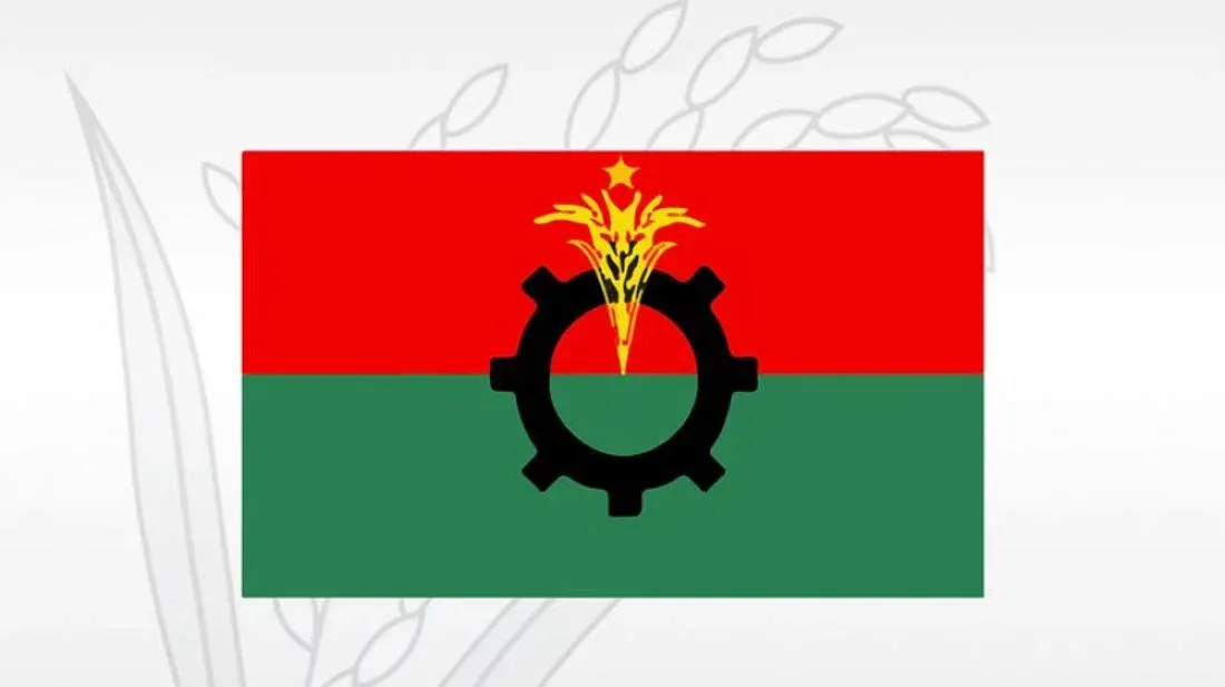 গ্যাস ও বিদ্যুৎ সংকট নিয়ে বিএনপির বার্তা, সাময়িক কষ্টে দেশবাসীর সহযোগিতা কামনা