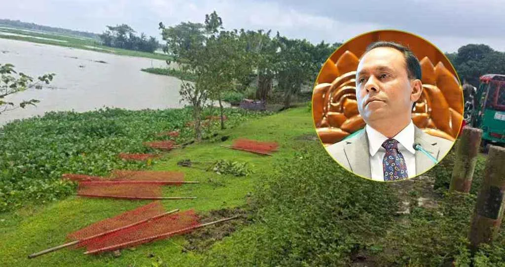 ডেপুটি স্পিকারের উদ্যোগে লাগানো গাছের চারা রাতের আঁধারে ধ্বংস
