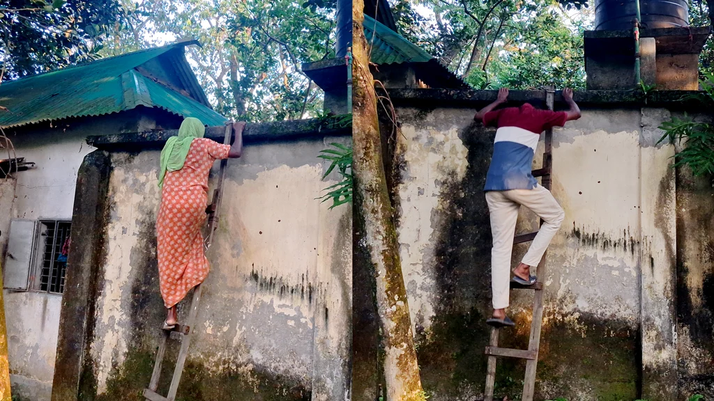 কাঁটাতারের বেড়ায় ২ বছর ধরে ‘বন্দী’ বিধবা, নেই বিদ্যুৎ-পানি