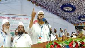 সরকার পতন চাই না, আমরা চাই সরকার যেন ফ্যাসিস্ট হয়ে না ওঠে: মামুনুল