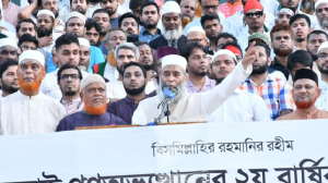 গণভোট না মানলে বিএনপি অগণতান্ত্রিক দল হিসেবেই থাকবে : মুজিবুর রহমান