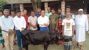 প্রতিমন্ত্রীর গাড়ীর ধাক্কায় নিহত ফিরোজার পরিবারকে গাভী প্রদান