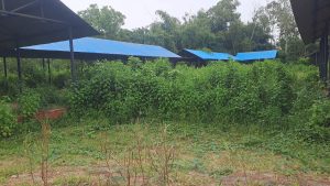 “পদচারণার হাট এখন জঙ্গলে, চালুর অপেক্ষায় ব্যবসায়ীরা”
