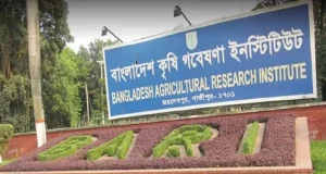 বাংলাদেশ কৃষি গবেষণা ইনস্টিটিউটের অধীনে চাকরির সুযোগ
