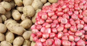 পেঁয়াজ-রসুনের সঙ্গে আলু রাখলে কী হয় জানেন?