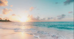 জাভা সাগরে ২৪১ যাত্রী নিয়ে জাহাজ নিখোঁজ