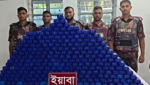 মিয়ানমার থেকে পাচারকালে ১৪ লাখ ইয়াবাসহ ২ জন গ্রেপ্তার